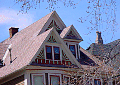dsc00524.jpg