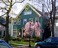 dsc00725.jpg
