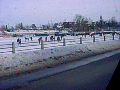 dsc00037.jpg