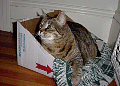 dsc00041.jpg