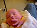 dsc01632.jpg