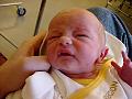 dsc01635.jpg
