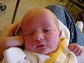 dsc01636.jpg