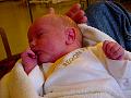 dsc01640.jpg