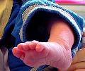 dsc01721.jpg