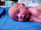 dsc01848a.jpg