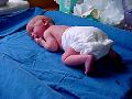 dsc01846.jpg