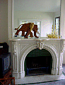 dsc00005.jpg