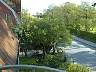 balcony3.jpg