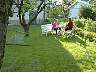 garden2.jpg